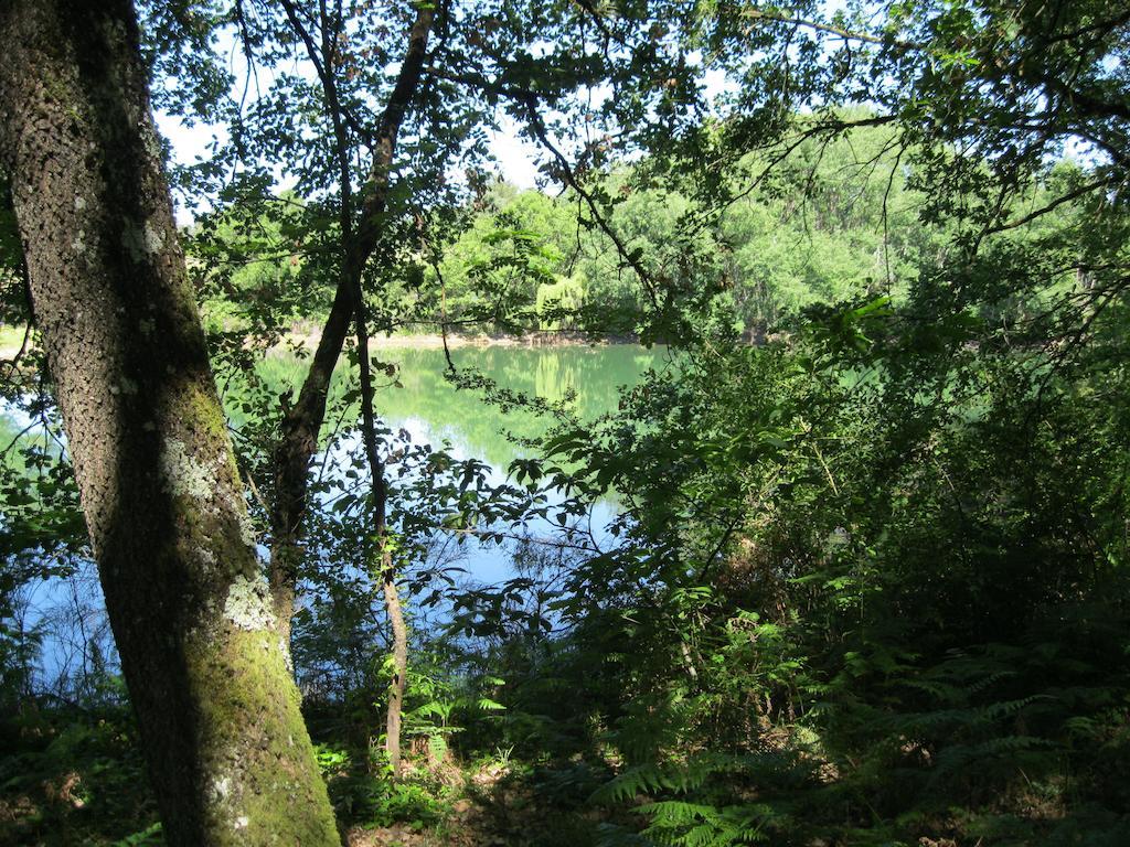 Podere Sant'Angelo Βίλα Bibbiena Εξωτερικό φωτογραφία